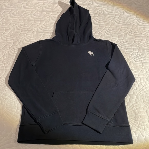 Abercrombie Kids Essential Icon Hoodie - size 13/14 - Picture 8 of 15